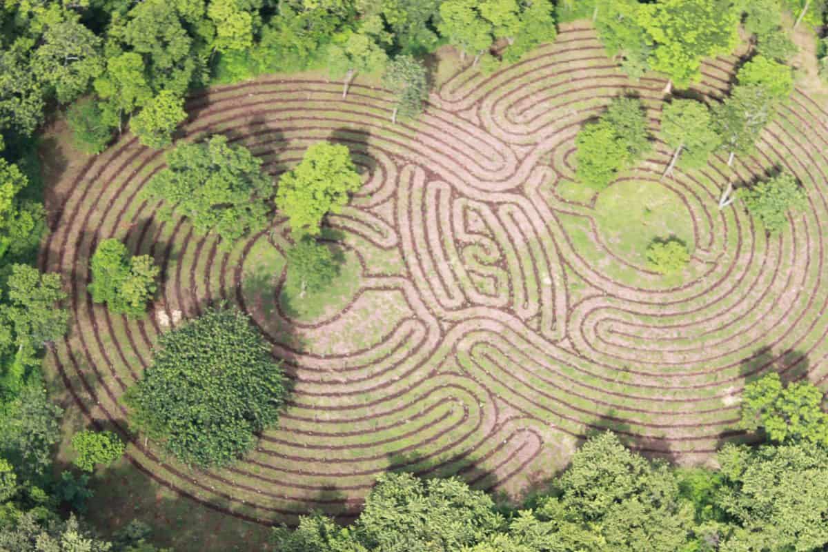 Tamarindo Labyrinth